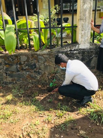 ‘Haritha Deyak’ National Home Gardening Program